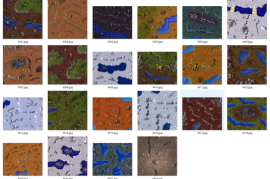 蓝色警戒一个人防守一个人进攻，🛡️ 防守方策略 (一个人防守)